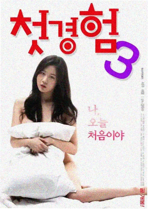 年轻妻子的秘密剧集海报