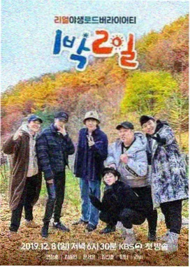 年轻妻子治愈系电影